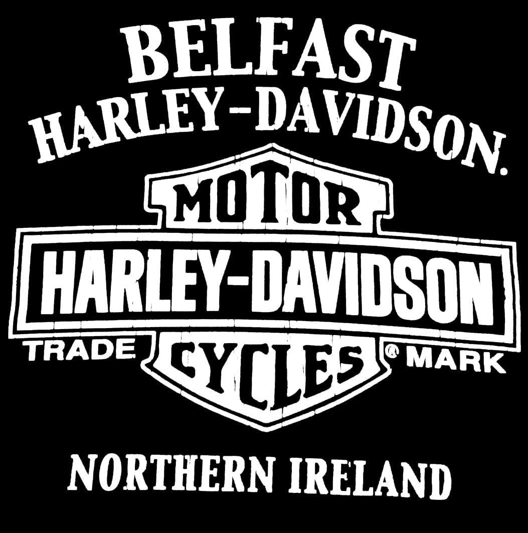 Harley-Davidson men´s T-Shirt Brushed black