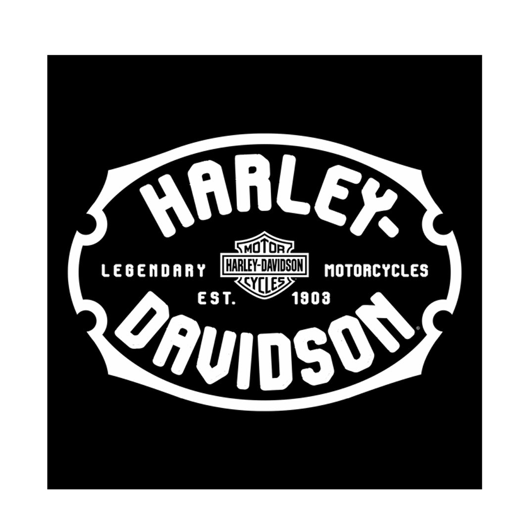 H-D Dealer T-Shirt Aftermath