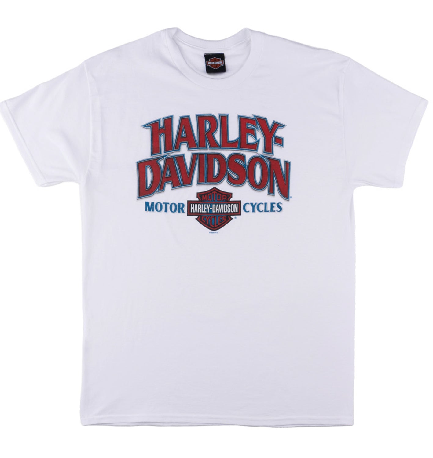 BELFAST HARLEY-DAVIDSON MENS DAB TEE