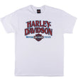 BELFAST HARLEY-DAVIDSON MENS DAB TEE