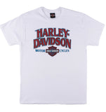 BELFAST HARLEY-DAVIDSON MENS DAB TEE