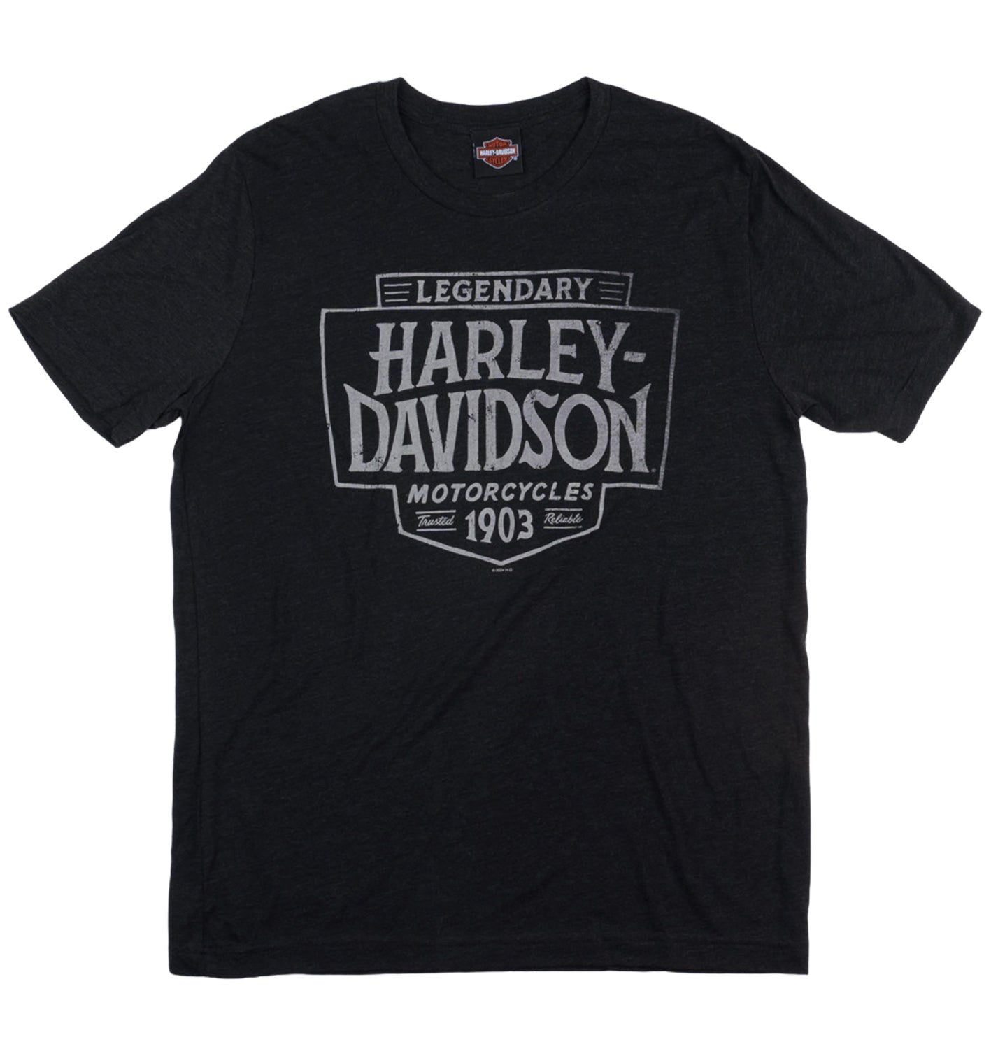 BELFAST HARLEY-DAVIDSON MENS DEFENSE TEE
