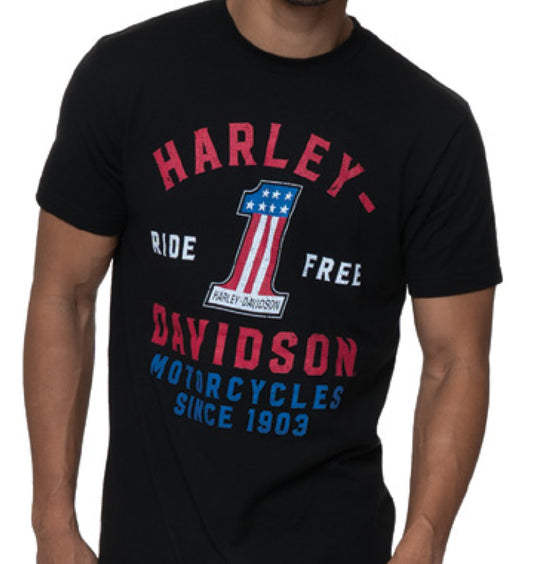BELFAST HARLEY-DAVIDSON MENS PARTAKE BIKE TEE