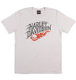 BELFAST HARLEY-DAVIDSON MENS THUNDER ROLL